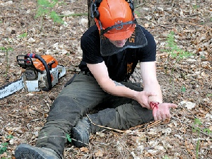 forestry first aid limerick